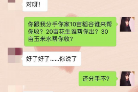 上海为什么选择专业追讨公司来处理您的债务纠纷？